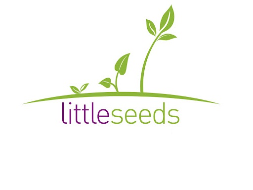 KHÓA HỌC LITTLE SEED-2